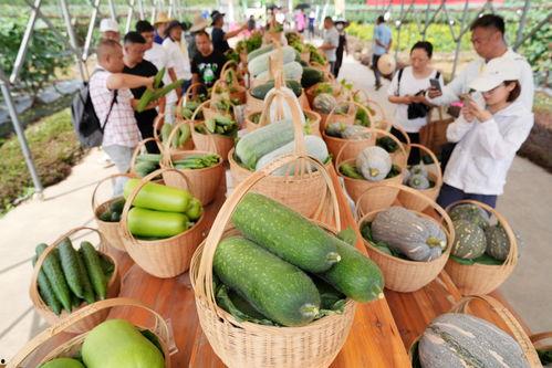 广新吃瓜,揭秘娱乐圈幕后故事