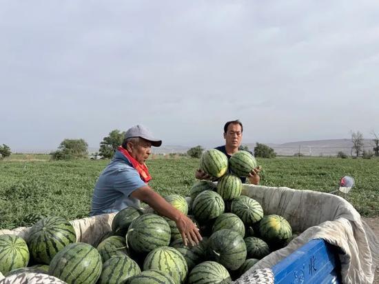 吴忠吃瓜,揭秘网络热点的背后故事