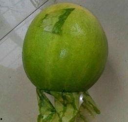 柳州最近吃瓜事件,揭秘背后真相与网络舆论风暴