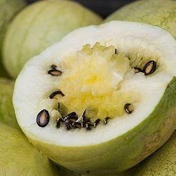 瓜萎吃皮还是吃籽,皮与籽的食用奥秘解析