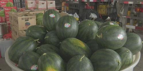 吃瓜大视界,揭秘娱乐圈幕后故事