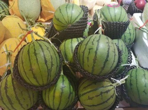 如东吃瓜,探寻如东特色美食之旅