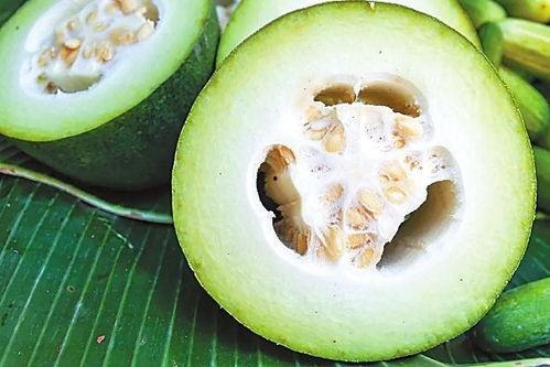 如东吃瓜,探寻如东特色美食之旅