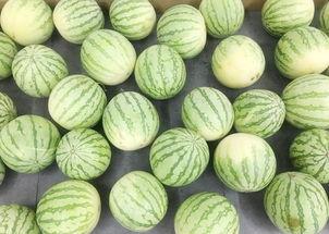 吃瓜的真实报道,一场场舆论风波背后的真相