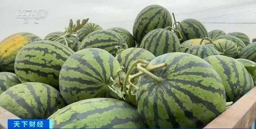 几十万粉丝吃瓜,揭秘网红圈那些事儿