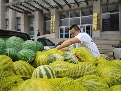 几十万粉丝吃瓜,揭秘网红圈那些事儿
