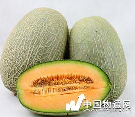 哈密瓜和牛肉一起吃吗,营养与美味的双重享受