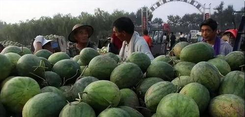 吕梁吃瓜直播,揭秘网红美食背后的故事