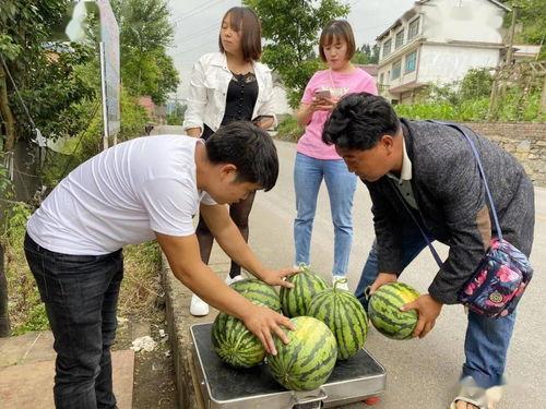 吃别人瓜落,揭秘吃别人瓜落的趣味与哲理