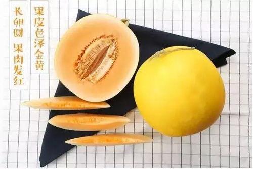 金红宝蜜瓜怎么吃,尽享夏日清新美味