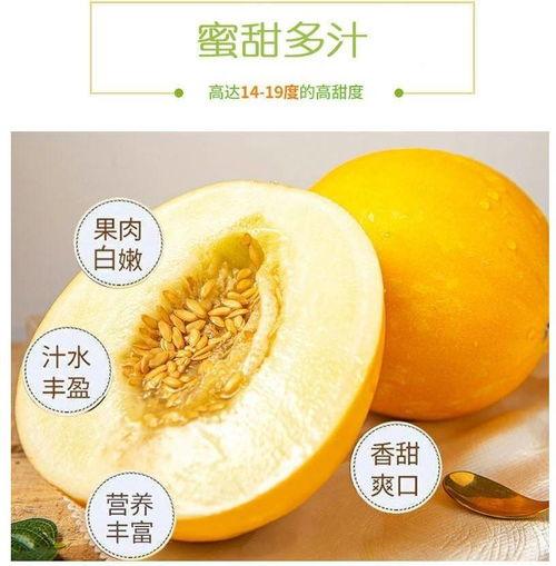 金红宝蜜瓜怎么吃,尽享夏日清新美味