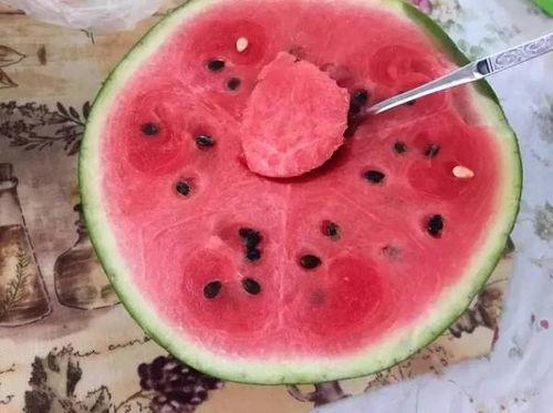 喜子瓜可以吃吗,美味可口的天然美食，你敢尝试吗？