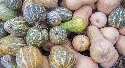 潮汕女吃瓜,吃瓜的奥秘与风情