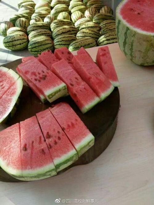 吃瓜全场,揭秘娱乐圈幕后风云