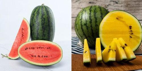 吃瓜8mile,揭秘网络热词背后的故事