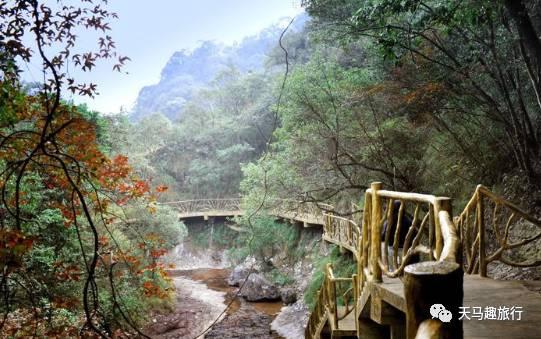 云顶幻灭吃瓜,吃瓜群众揭秘虚拟世界背后的真相