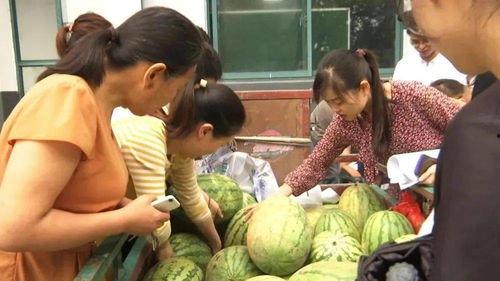 三乡吃瓜群众,揭秘乡村生活百态