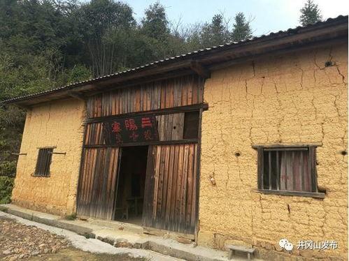 三乡吃瓜群众,揭秘乡村生活百态