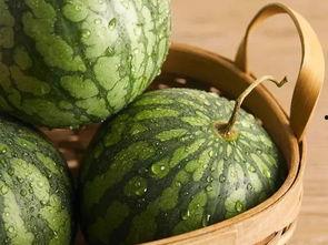 有什么新鲜瓜可以吃,盘点时令瓜果新宠