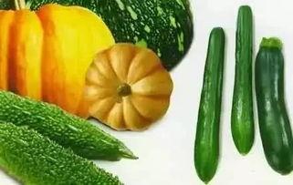 吃瓜刘大飞,揭秘娱乐圈背后的故事