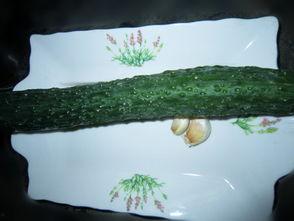 青龙脆瓜怎么吃,清新爽口，多味食法大揭秘