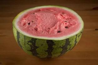 北方人吃瓜南方人吃瓜,瓜果飘香，南北食俗大不同