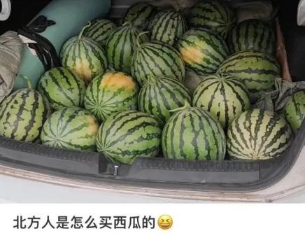 北方人吃瓜南方人吃瓜,瓜果飘香，南北食俗大不同
