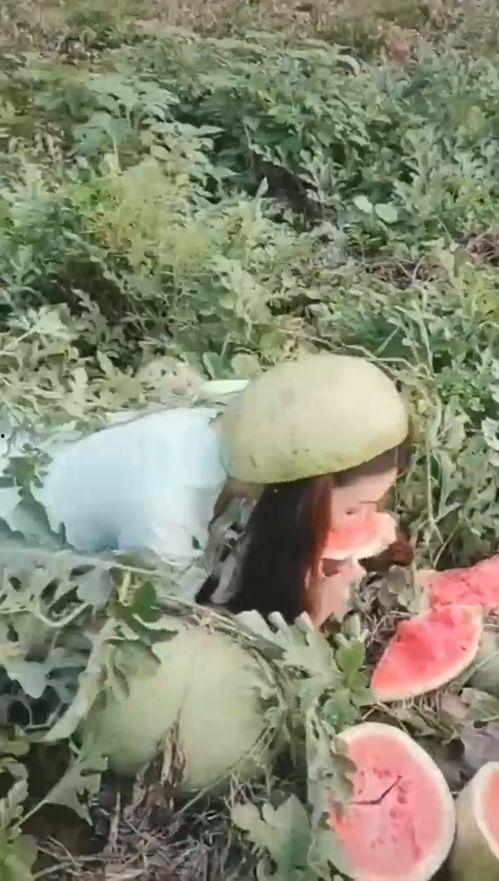 吃瓜搞笑的女人,揭秘吃瓜搞笑女人的欢乐生活