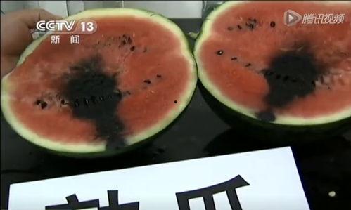 带你吃瓜吃席的视频大全,视频大全精彩回顾