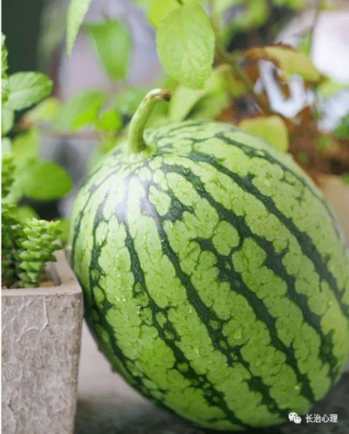 博主专门分析吃瓜,博主深度解析