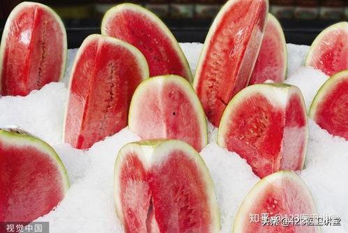 我要和圆圆一起吃冰瓜,与圆圆共享冰瓜美味