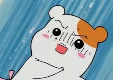 我要和圆圆一起吃冰瓜,与圆圆共享冰瓜美味