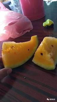 信子吃瓜,揭秘娱乐圈背后的那些事儿