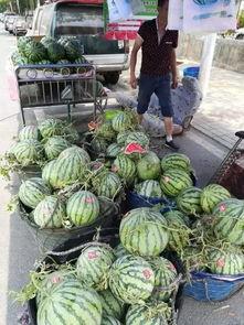 安徽传媒吃瓜事件,揭秘网络舆论的风暴与反思