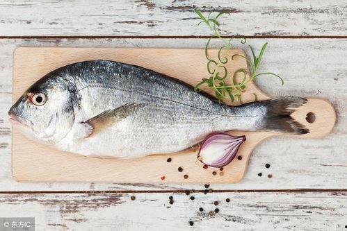 吃八瓜鱼合集,探寻味蕾的无限可能