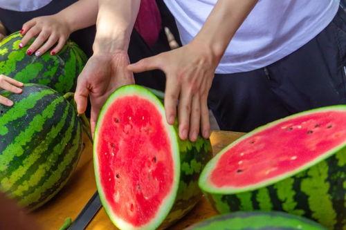 南京体育大学吃瓜