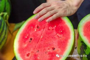 南京体育大学吃瓜