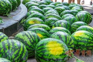 南京体育大学吃瓜