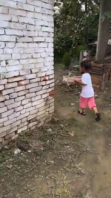 奶奶吃的瓜怎么写,瓜果飘香里的温馨时光