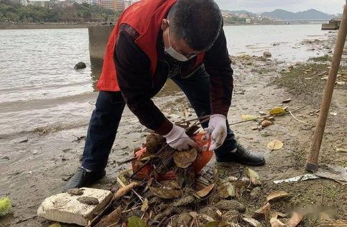 清河疫情吃瓜,吃瓜群众视角下的防疫战记