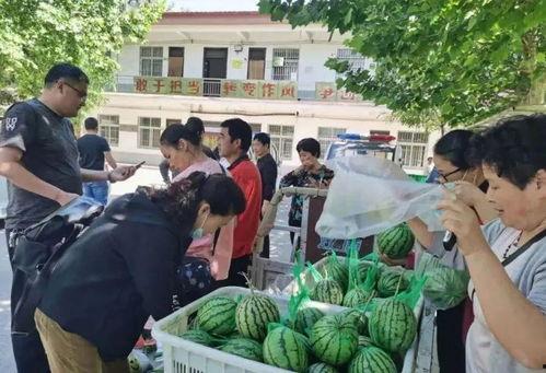 吃瓜群众阿克苏,吃瓜群众的趣味生活与独特视角