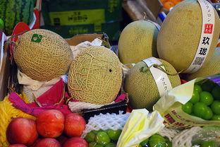 吃日本的蜜瓜,探寻异国风味的蜜瓜之旅