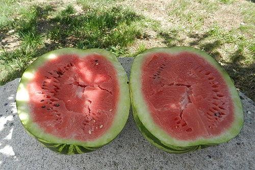 梦见给同志买瓜吃瓜,同志间的瓜果情缘